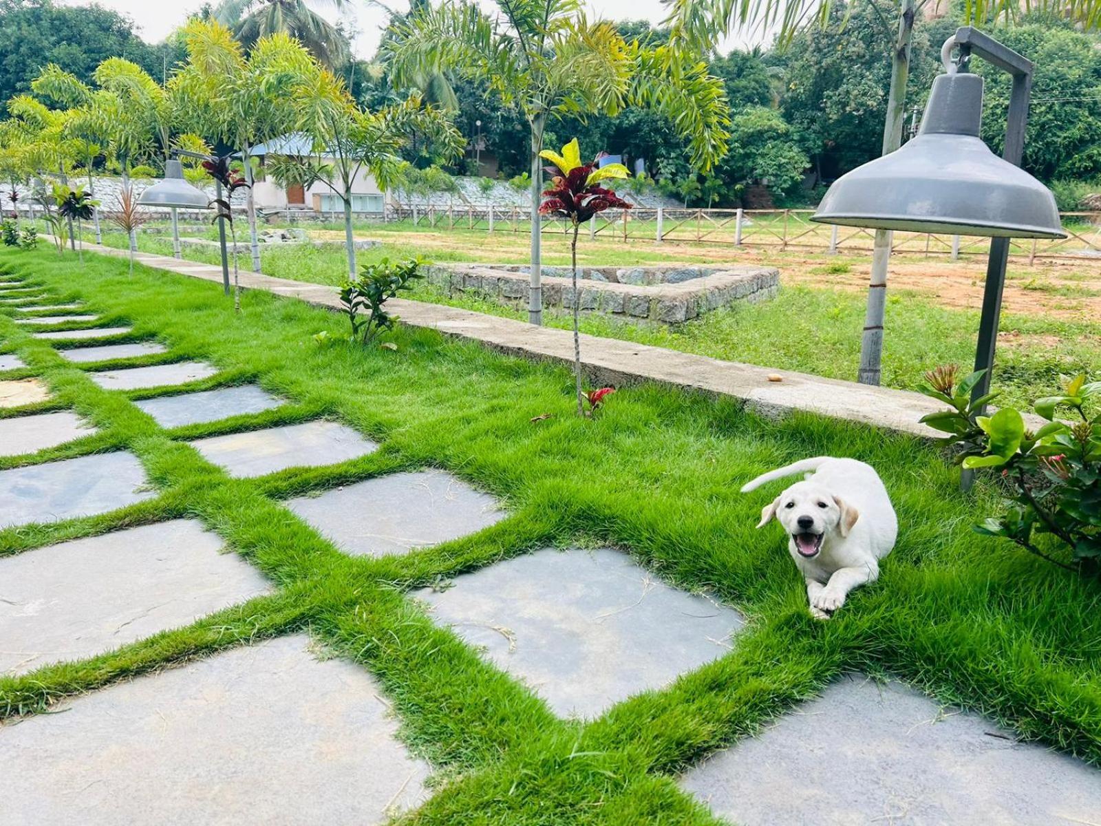 Hampi Village Resort & Tutti Cafe Exteriör bild
