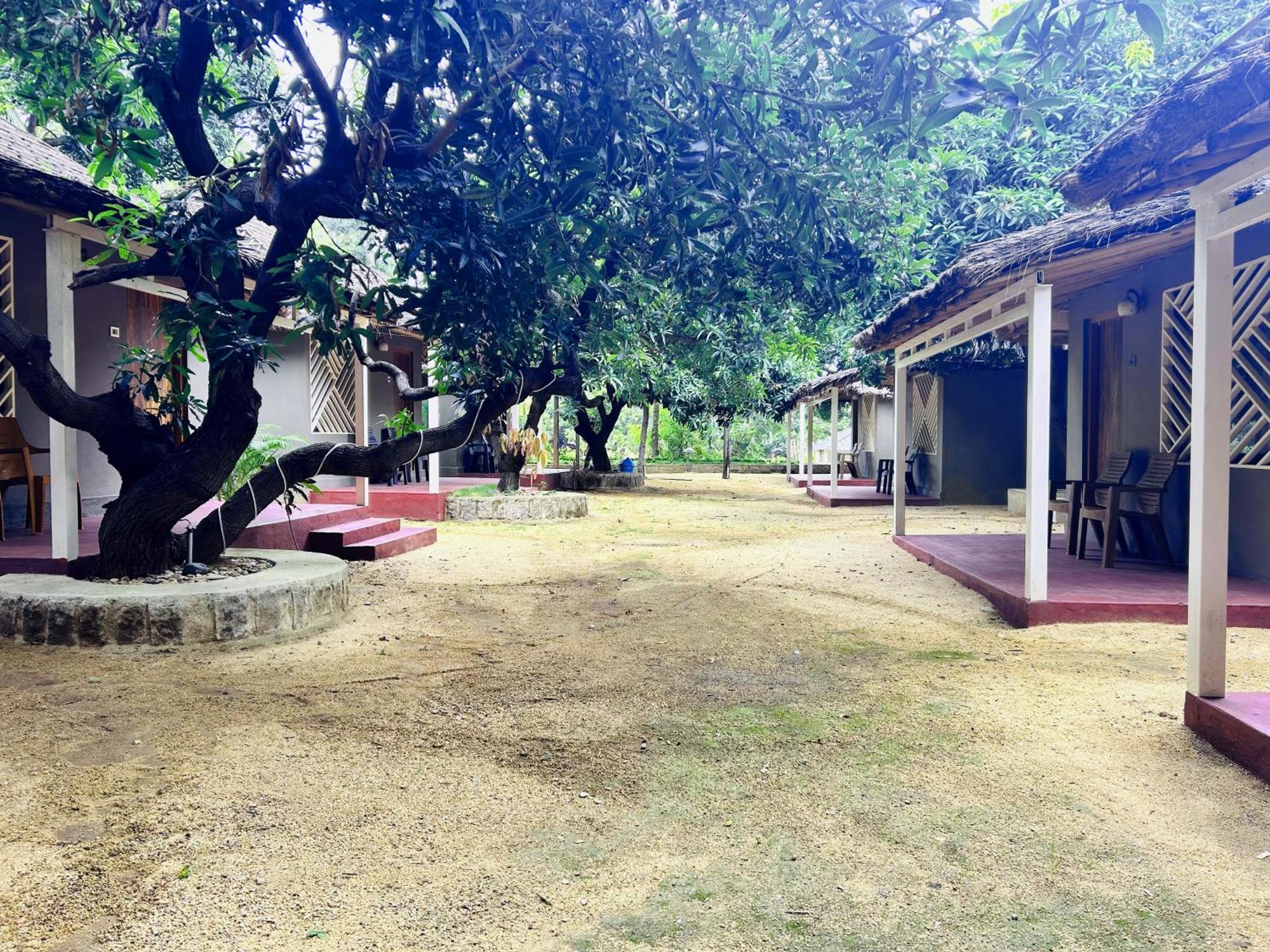 Hampi Village Resort & Tutti Cafe Exteriör bild